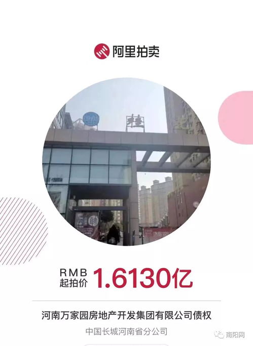 南阳知名房企项目突遭法拍 在建工程1.6亿起拍，折射行业困境