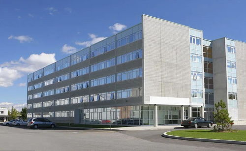 挂靠施工中，满足特定条件即可直接向发包人主张工程款